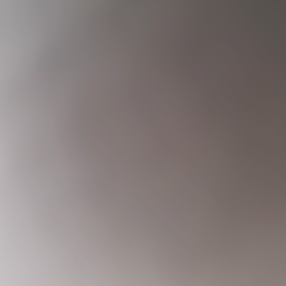 Meet your Posher, Carson - Picture 2 of 2